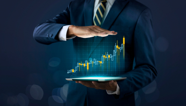 Investment feasibility indicators: NPV, IRR, DPB
